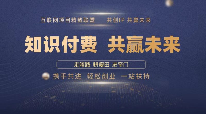 2025年 如何通过 “知识付费” 卖项目月入十万、年入百万，布局2025与…-一人公司创业项目 - 淘金吧