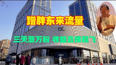 蹭胖东来流量，三天涨万粉，收益直接起飞-一人公司创业项目 - 淘金吧