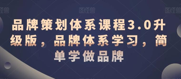品牌策划体系课程3.0升级版，品牌体系学习，简单学做品牌-一人公司创业项目 - 淘金吧