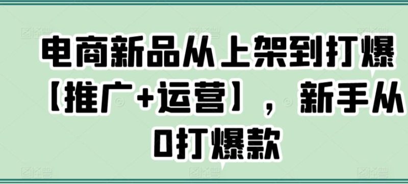 电商新品从上架到打爆【推广+运营】,新手从0打爆款-一人公司创业项目 - 淘金吧