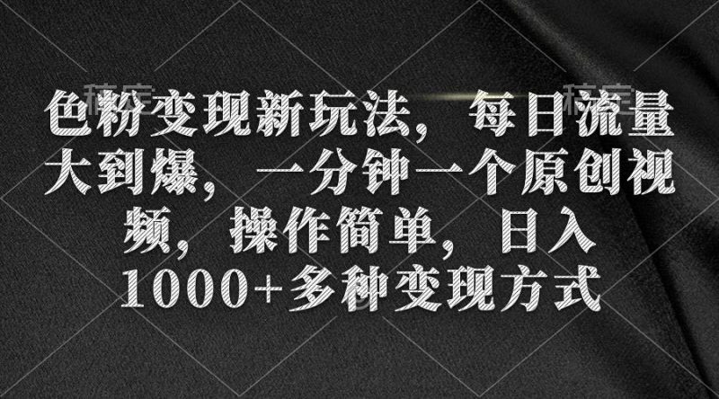 (9282期)色粉变现新玩法,每日流量大到爆,一分钟一个原创视频,操作简单,日入1…-一人公司创业项目 - 淘金吧