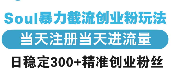 Soul暴力截流创业粉玩法,当天注册当天进流量,日稳定300+精准创业粉丝-一人公司创业项目 - 淘金吧