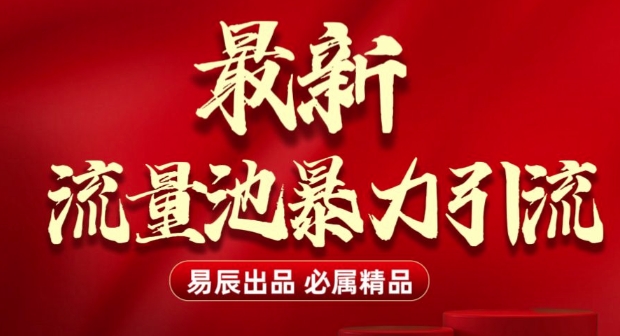 最新“流量池”无门槛暴力引流(全网首发)日引500+-一人公司创业项目 - 淘金吧