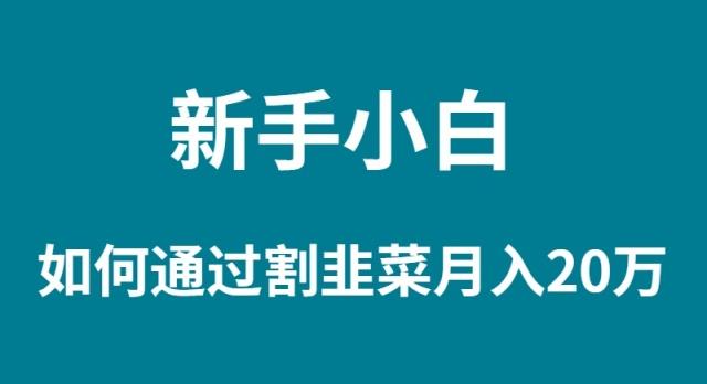 (9308期)新手小白如何通过割韭菜月入 20W-一人公司创业项目 - 淘金吧