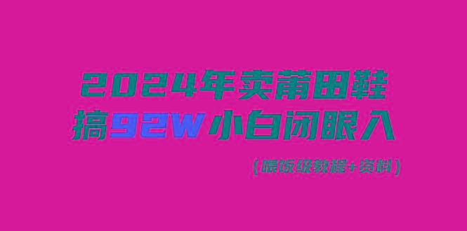 (9329期)2024年卖莆田鞋，搞了92W，小白闭眼操作！-一人公司创业项目 - 淘金吧