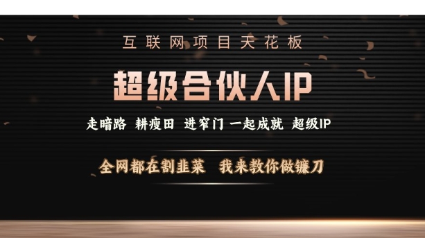 互联网项目天花板,超级合伙人IP,全网都在割韭菜,我来教你做镰刀【仅揭秘】-一人公司创业项目 - 淘金吧