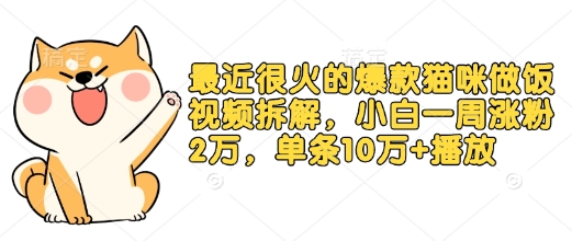 最近很火的爆款猫咪做饭视频拆解，小白一周涨粉2万，单条10万+播放(附保姆级教程)-一人公司创业项目 - 淘金吧