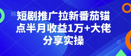 短剧推广拉新番茄锚点半月收益1万+大佬分享实操-一人公司创业项目 - 淘金吧