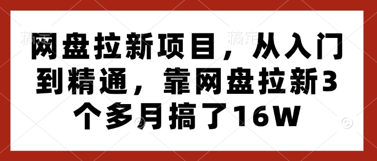 网盘拉新项目,从入门到精通,靠网盘拉新3个多月搞了16W-一人公司创业项目 - 淘金吧