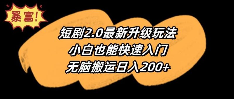 (9375期)短剧2.0最新升级玩法,小白也能快速入门,无脑搬运日入200+-一人公司创业项目 - 淘金吧