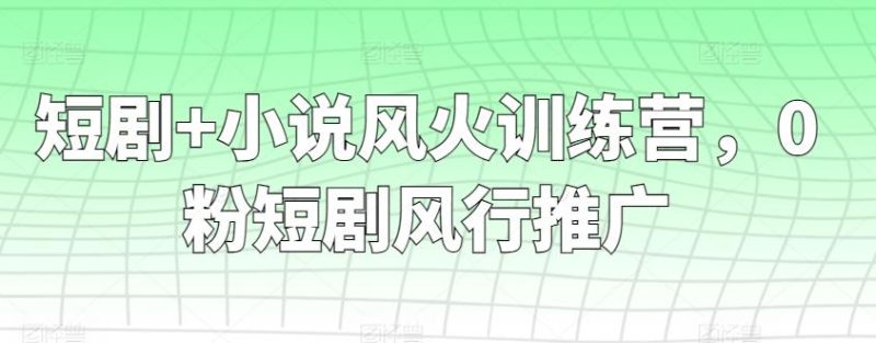 短剧+小说风火训练营,0粉短剧风行推广-一人公司创业项目 - 淘金吧