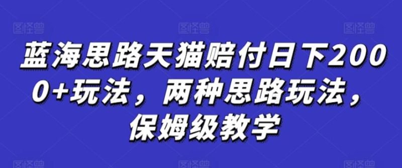 蓝海思路天猫赔付日下2000+玩法,两种思路玩法,保姆级教学【仅揭秘】-一人公司创业项目 - 淘金吧