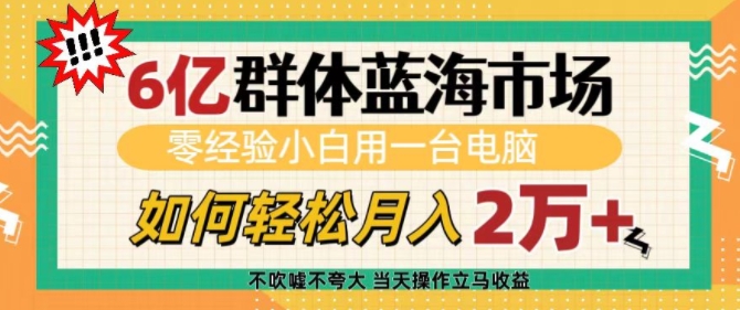 6亿群体蓝海市场,零经验小白用一台电脑,如何轻松月入过w【揭秘】-一人公司创业项目 - 淘金吧