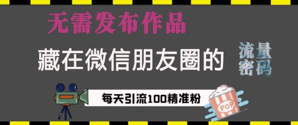 藏在微信朋友圈的流量密码,无需发布作品,单日引流100+精准创业粉【揭秘】-一人公司创业项目 - 淘金吧