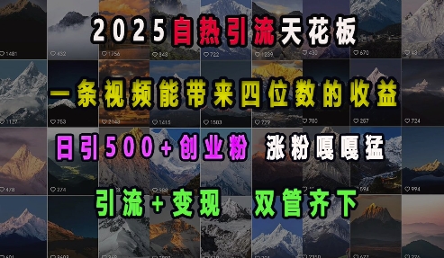 2025自热引流天花板,一条视频能带来四位数的收益,引流+变现双管齐下,日引500+创业粉,涨粉嘎嘎猛-一人公司创业项目 - 淘金吧