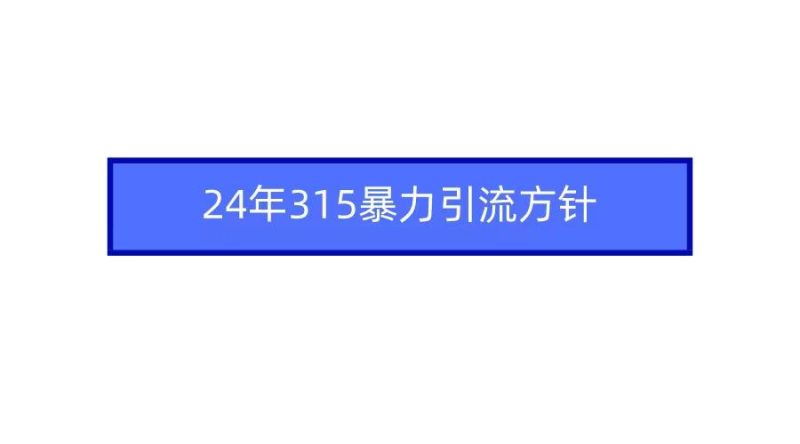 (9398期)2024年315暴力引流方针-一人公司创业项目 - 淘金吧