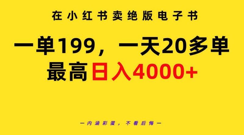 (9401期)在小红书卖绝版电子书,一单199 一天最多搞20多单,最高日入4000+教程+资料-一人公司创业项目 - 淘金吧