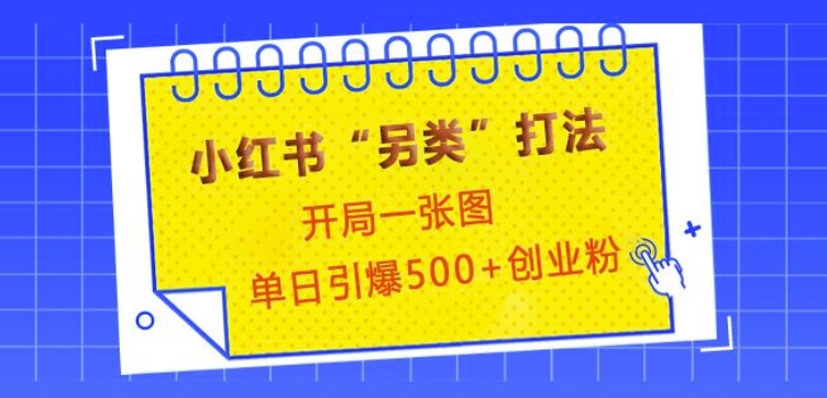 小红书“另类”打法,开局一张图,单日引爆500+精准创业粉【揭秘】-一人公司创业项目 - 淘金吧