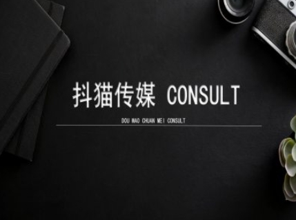 抖猫学院小红书聚光详细操作流程实操-一人公司创业项目 - 淘金吧