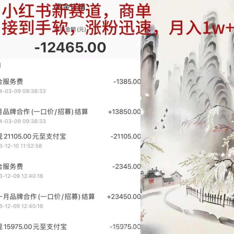(9476期)小红书新赛道，商单接到手软，涨粉迅速，月入1w+-一人公司创业项目 - 淘金吧
