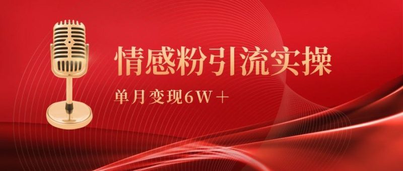 (9473期)单月变现6w+，情感粉引流变现实操课-一人公司创业项目 - 淘金吧