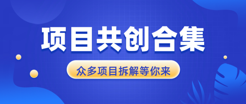 项目共创合集，从0-1全过程拆解，让你迅速找到适合自已的项目-一人公司创业项目 - 淘金吧