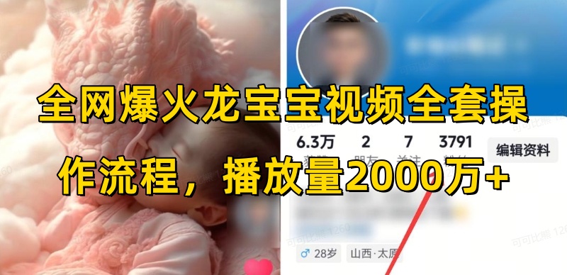全网爆火龙宝宝视频全套操作流程,播放量2000万+-一人公司创业项目 - 淘金吧
