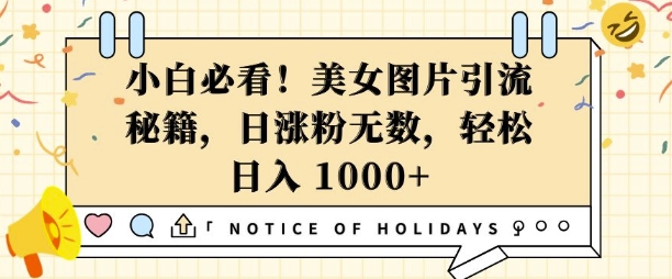 小白必看,美女图片引流秘籍,日涨粉无数,轻松日入几张【揭秘】