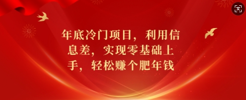 年底冷门项目，利用信息差，实现零基础上手，轻松赚个肥年钱【揭秘】-一人公司创业项目 - 淘金吧