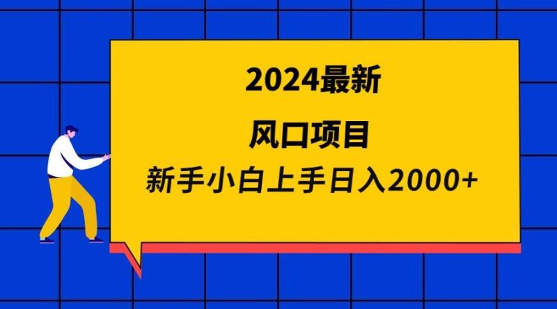 (9483期)2024最新风口项目 新手小白日入2000+-一人公司创业项目 - 淘金吧
