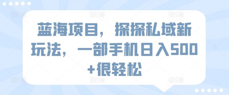 蓝海项目,探探私域新玩法,一部手机日入500+很轻松【揭秘】-一人公司创业项目 - 淘金吧