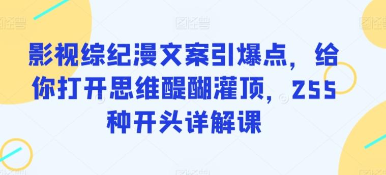 影视综纪漫文案引爆点，给你打开思维醍醐灌顶，255种开头详解课-一人公司创业项目 - 淘金吧