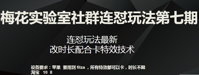 梅花实验室社群连怼玩法第七期，连怼玩法最新，改时长配合卡特效技术-一人公司创业项目 - 淘金吧