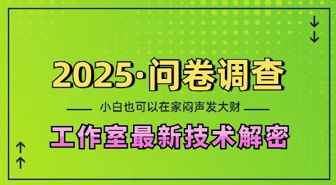 2025问卷调查最新工作室技术解密：一个人在家也可以闷声发大财，小白一天2张，可矩阵放大【揭秘】-一人公司创业项目 - 淘金吧