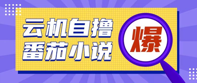 首发云手机自撸小说玩法，10块钱成本可撸200+收益操作简单【揭秘】-一人公司创业项目 - 淘金吧