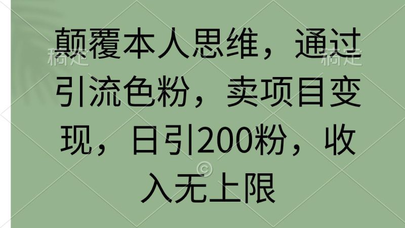 (9523期)颠覆本人思维，通过引流色粉，卖项目变现，日引200粉，收入无上限-一人公司创业项目 - 淘金吧