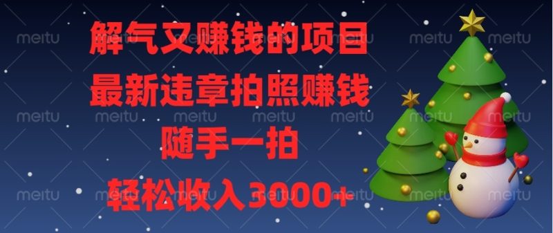 解气又赚钱的项目，最新违章拍照赚钱，随手一拍，轻松收入3000+-一人公司创业项目 - 淘金吧