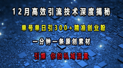 最新高效引流技术深度揭秘 ,单号单日引300+精准创业粉,一分钟一条原创素材,引爆你的私域流量-一人公司创业项目 - 淘金吧