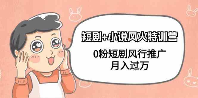 小说+短剧风火特训营，0粉短剧小说风行推广，实现月入过万-一人公司创业项目 - 淘金吧