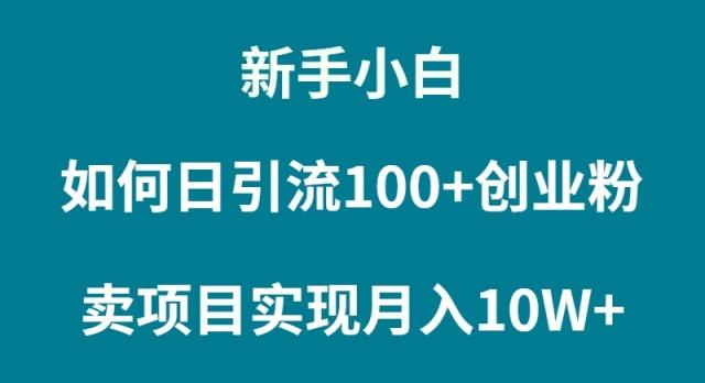 (9556期)新手小白如何通过卖项目实现月入10W+-一人公司创业项目 - 淘金吧