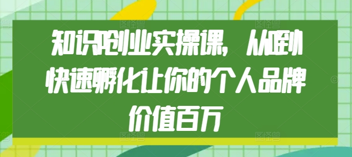 知识IP创业实操课,从0到1快速孵化让你的个人品牌价值百万-一人公司创业项目 - 淘金吧