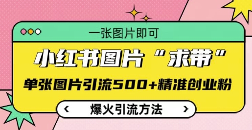 小红书图片‘求带’爆火引流法,单张图片引流500+精准创业粉【揭秘】-一人公司创业项目 - 淘金吧
