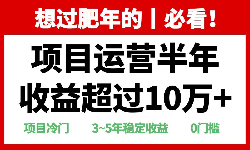 年前过肥年的必看的超冷门项目，半年收益超过10万+，-一人公司创业项目 - 淘金吧
