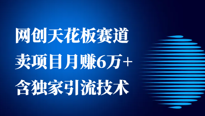 网创天花板赛道，卖项目月赚6万+，含独家引流技术(共26节课)-一人公司创业项目 - 淘金吧