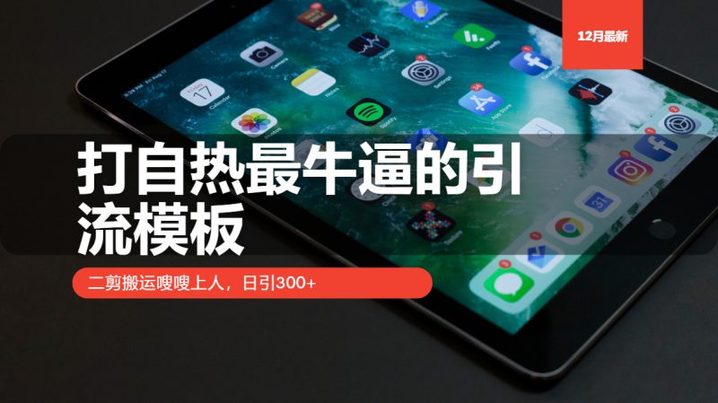 打自热最牛逼的引流模板,二剪搬运嗖嗖上人,日引300+-一人公司创业项目 - 淘金吧