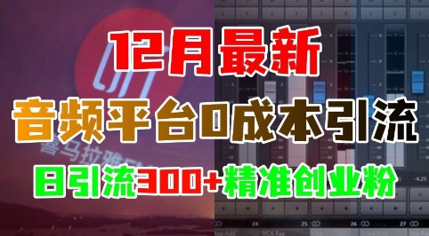 12月最新:音频平台0成本引流,日引流300+精准创业粉-一人公司创业项目 - 淘金吧