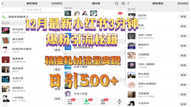 12月最新小红书3分钟爆粉引流秘籍 精准私域流量变现 日引500+-一人公司创业项目 - 淘金吧