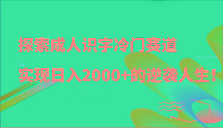探索成人识字冷门赛道，实现日入2000+的逆袭人生！-一人公司创业项目 - 淘金吧