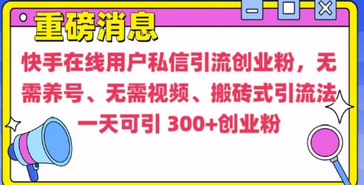 快手最新引流创业粉方法，无需养号、无需视频、搬砖式引流法【揭秘】-一人公司创业项目 - 淘金吧