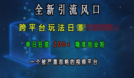 全新引流风口,跨平台玩法日入上k,单日狂揽200+精准创业粉,一个被严重忽略的视频平台-一人公司创业项目 - 淘金吧